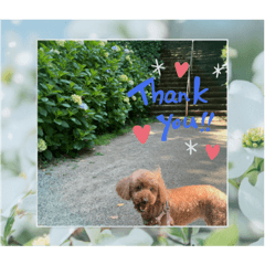 SAYURI_20230404202403