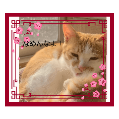 hana_20230404205046