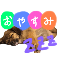 Shiho_20230405100743