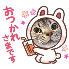 kana_20230404212553