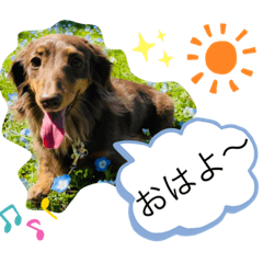 aoi_20230405112121