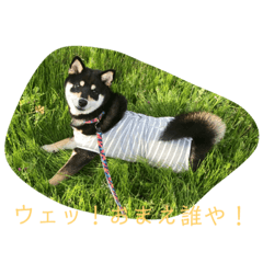Yuto_20230405114237