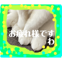Sabichoco_20230405130544