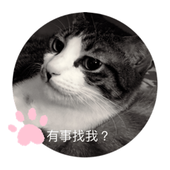 米奇說