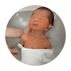 Shiho_20230405131101