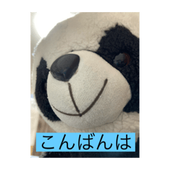 Panda_20230404231746