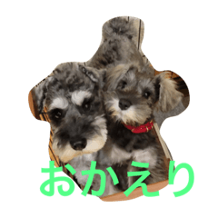 nozomi_20230405141333