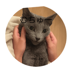 alice_20230405141048