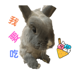 小球球繽紛表情