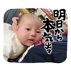 shiho_20230405143228