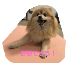 kaede_20230405151704