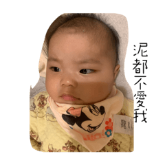 小洪寶表情貼