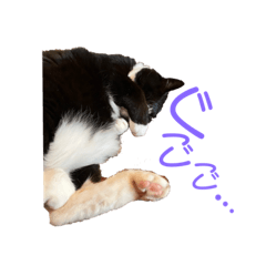 hikari_20230405212215