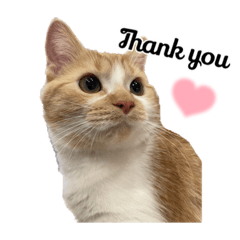 SHIHO_20230405233517