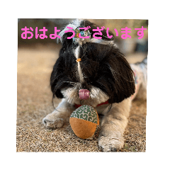 Nao_20230406091211