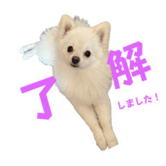 sakura_20230405203127