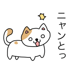 猫たち にゃーずの1日