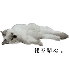 九九仙女的日常2