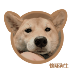 霸道女總柴の日常