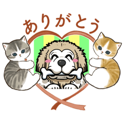 charm_20230405124634