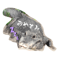 HIJINKO_20230406154652