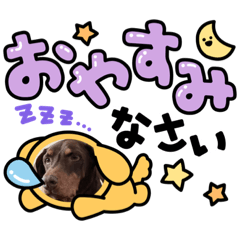 nao_20230406160621
