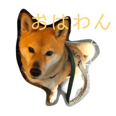 kosuke_20230406162750