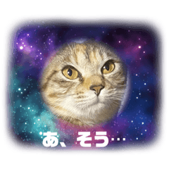 yaMazaki_20230406174005