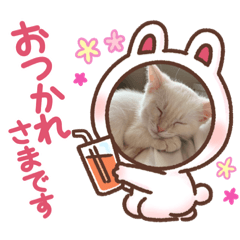 nao_20230406212202