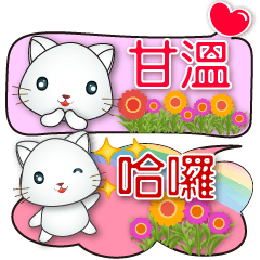 Cute White Cat-Colorful Dialog Box