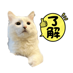 saori_20230407080656