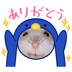 omayu_20230406230806