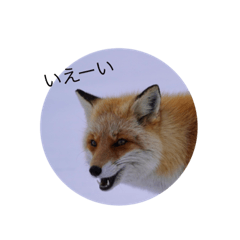 hana_20230406232352