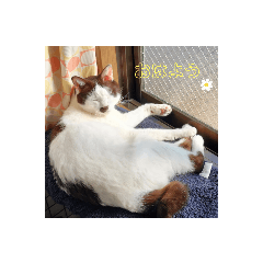 Kicka_20230406222647