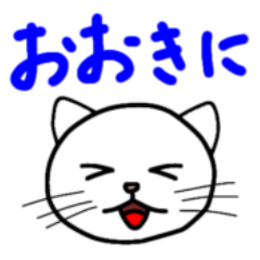 cot:Kansai dialect white cat