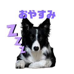 RUBIA_20230407155522