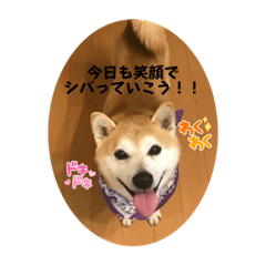 仲良しサストト兄弟