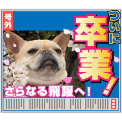 arisa_20230408091600