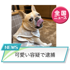 arisa_20230407172019