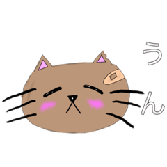 Ms.Saya