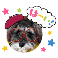 aozora_20230408091435