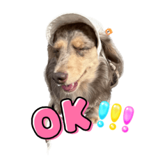 ARISA_20230407194929