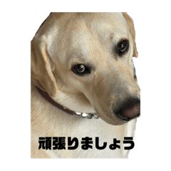 yuka_20230407195728