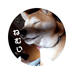 kanae_20230408013904