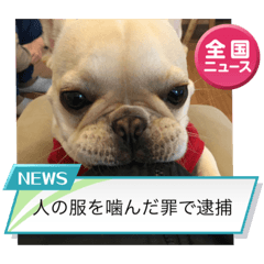 arisa_20230407203236