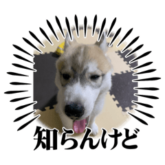 aoi_20230407200942