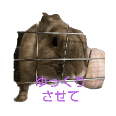 hana_20230407223321