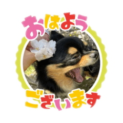 Yuka_2023_no.2