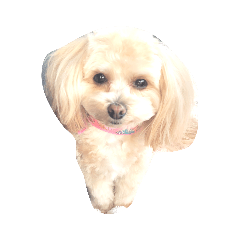 arisa_20230407221423