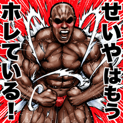 Seiya dedicated Muscle macho sticker 6